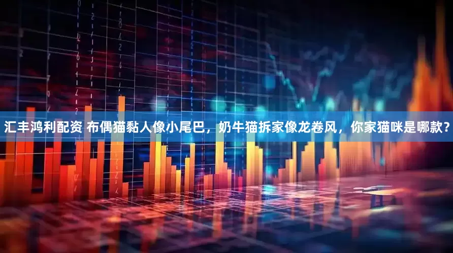 汇丰鸿利配资 布偶猫黏人像小尾巴，奶牛猫拆家像龙卷风，你家猫咪是哪款？