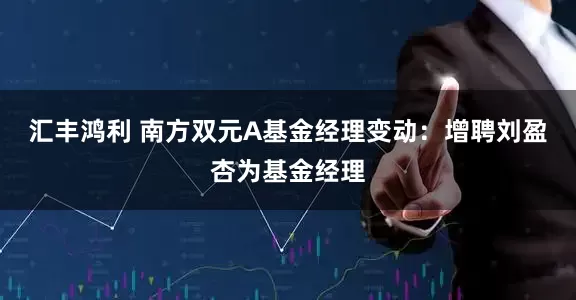 汇丰鸿利 南方双元A基金经理变动：增聘刘盈杏为基金经理