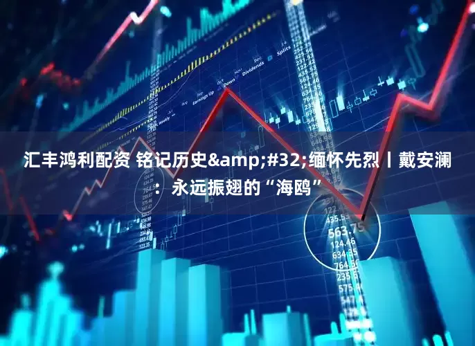 汇丰鸿利配资 铭记历史&#32;缅怀先烈丨戴安澜：永远振翅的“海鸥”