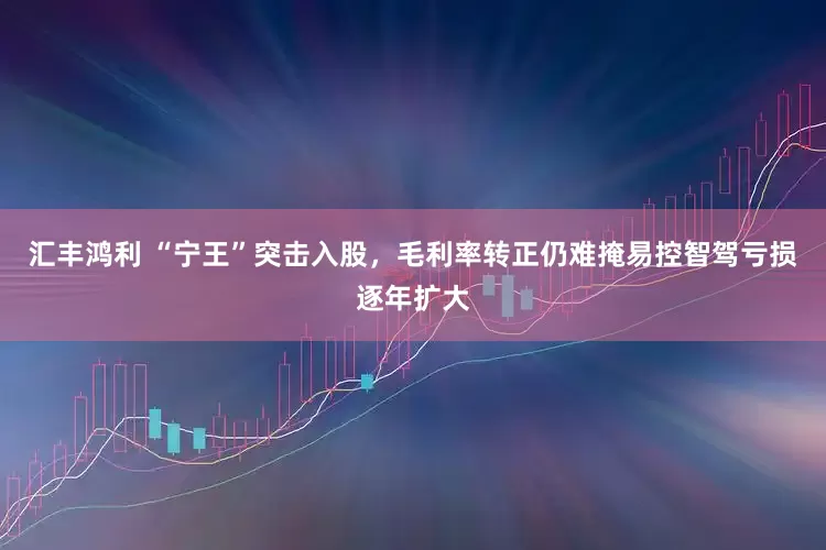 汇丰鸿利 “宁王”突击入股，毛利率转正仍难掩易控智驾亏损逐年扩大